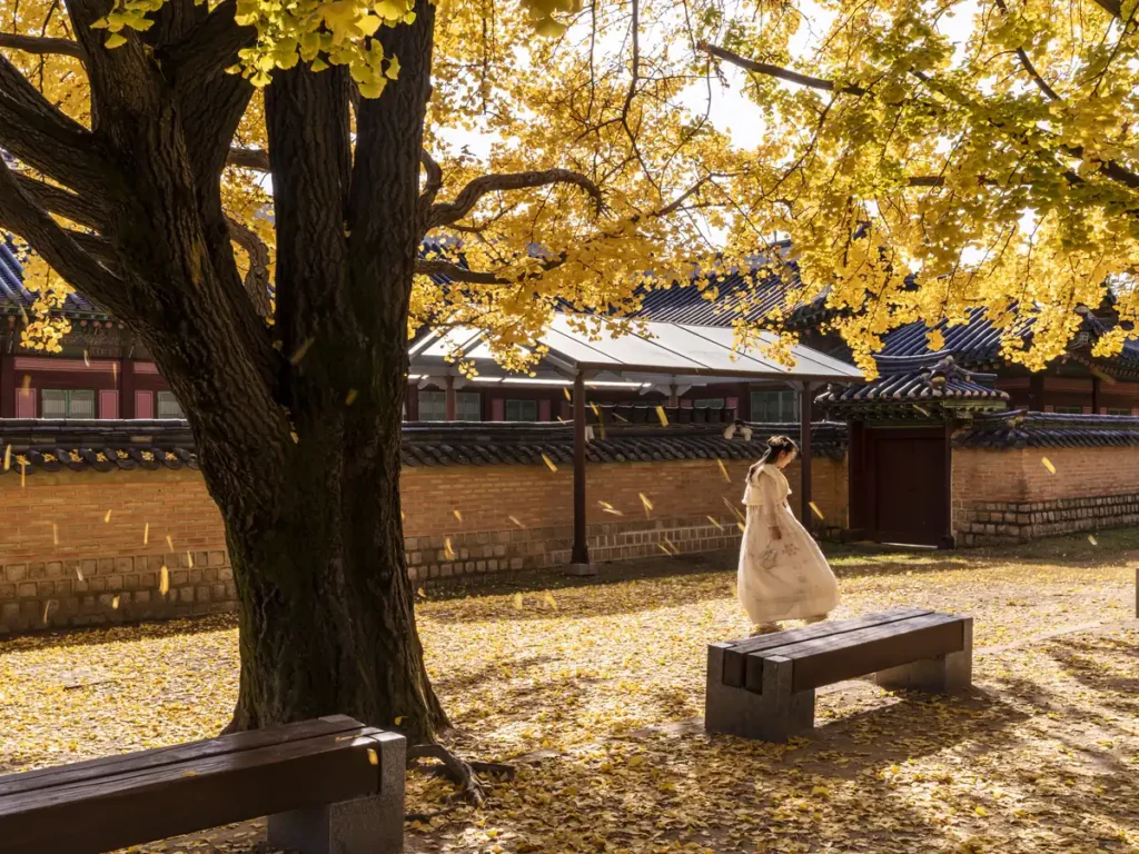 Hanbok can make the experience feel more personal