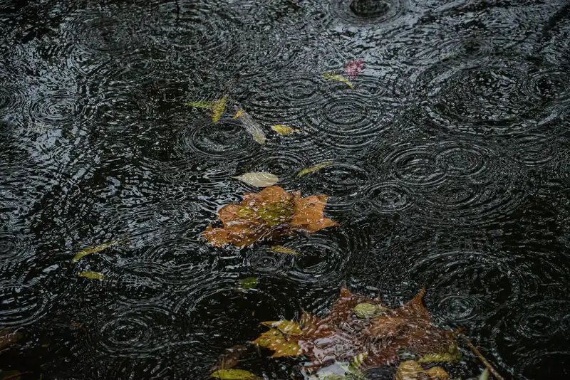 Korea has a season when rain becomes part of the trip